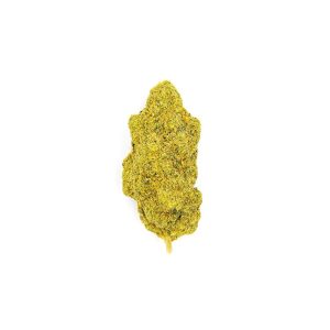 Mimosa